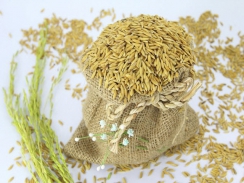 Hạn hán và Covid-19 đẩy giá gạo Thái Lan tăng mạnh
