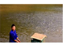 Hơn 1.000 Tấn Thủy Sản Đang Tung Ra Thị Trường