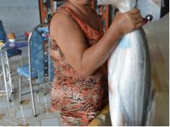 Sản lượng cá bông lau đánh bắt được ngày càng giảm