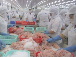 Việt Nam expects US$1.7 billion in tra fish exports in 2022