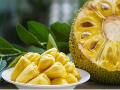 Vietnamese frozen jackfruit sent to Australia for trade promotion