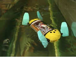 Giám sát trại nuôi cá bằng robot rùa biển