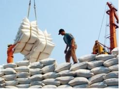 Xuất khẩu gạo phẩm cấp thấp cảnh báo sập bẫy Trung Quốc