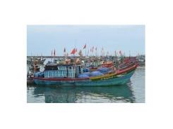 Xây dựng Trung tâm nghề cá lớn tỉnh Bà Rịa - Vũng Tàu