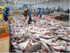 7 tháng, sản lượng cá nuôi trồng, khai thác đạt trên 376 tấn