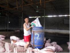 Tín dụng nông nghiệp, nông thôn thúc đẩy phát triển kinh tế hộ ở Thanh Thủy