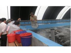 Thừa Thiên Huếhơn 1,2 Tỷ Đồng Phòng Chống Dịch Bệnh Thủy Sản Năm 2015