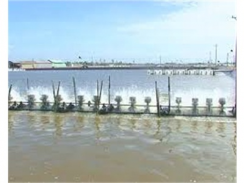 Quảng Điền (Thừa Thiên Huế) Thu Hoạch Hơn 482 Tấn Thủy Sản Nước Lợ