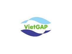 Nâng Cao Tính Khả Thi Trong Việc Áp Dụng VietGAP