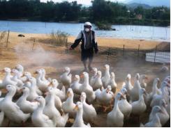 Chính phủ hỗ trợ Quảng Nam 10 nghìn lít hóa chất sát trùng Han-Iodine