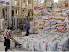 Tín hiệu khởi sắc cho thị trường tiêu thụ lúa gạo Việt Nam