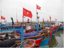 Sản Lượng Khai Thác Và Nuôi Trồng Thủy Sản Ở Quảng Ninh (Quảng Bình) Tăng Mạnh