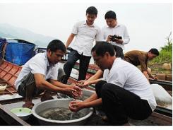 Thả 78.000 Con Cá Giống Xuống Lòng Hồ Thủy Điện Sơn La