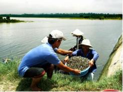 Hỗ trợ nông dân dự trữ thủy sản