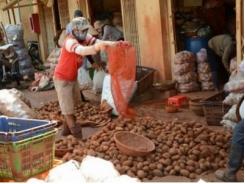 Ngày đầu lệnh cấm khoai tây Trung Quốc vào chợ nông sản có hiệu lực