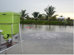 Thử nghiệm công nghệ mới vì sự phát triển bền vững của ngành nuôi trồng thủy sản Việt Nam