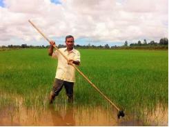 “Bà đỡ” nông dân ở bán đảo Cà Mau