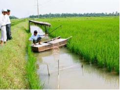 Kỹ thuật nuôi tôm trong ruộng lúa thích ứng với biến đổi khí hậu: Giải mặn, tích ngọt