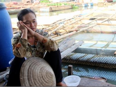 Làng nuôi cá bè Đồng Nai: 'Tết này trắng tay rồi'