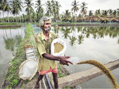 Ấn Độ: Ứng dụng công nghệ nuôi tôm bền vững