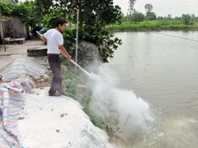 Bắc Ninh hối hả vào vụ nuôi cá mới