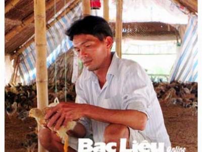 Anh Lê Văn Sỉ thành công từ nuôi gà sử dụng đệm lót sinh học