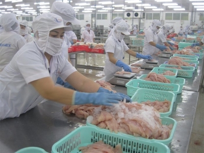 Mỹ không còn là thị trường xuất khẩu thủy sản số một của Việt Nam