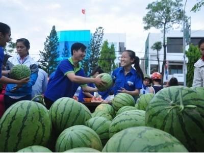 Tiếp tục chiến dịch giải cứu dưa giúp nông dân Quảng Ngãi