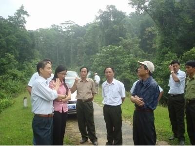 Tăng cường bảo vệ rừng biên giới Việt - Lào