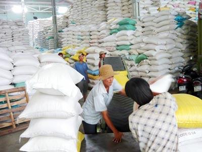 Xuất khẩu gạo sang Thổ Nhĩ Kỳ tiếp tục không thuận lợi