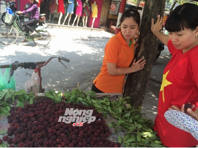 Nguồn gốc của quả thanh mai trên thị trường Hà Nội