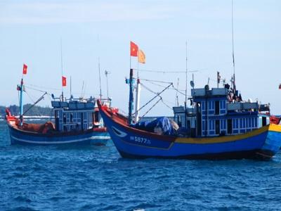 Quảng Nam sẽ có thêm 13 tàu đánh bắt xa bờ ;