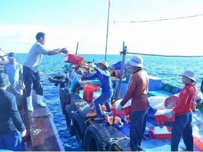 Đà Nẵng có thêm một HTX dịch vụ hậu cần nghề cá được thành lập