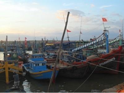 Bình Thuận khai thác hải sản đạt hơn 98.200 tấn