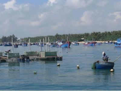 Ngư dân chung tay bảo vệ nguồn lợi thủy sản ven bờ