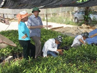 Tiêu thụ nông sản tại Sơn La liên kết bước đột phá