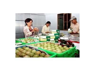 Trái cây Việt khó xuất ngoại vì cước phí cao