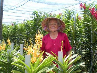 Trùm hoa lan tuổi 70 ở đất thép Củ Chi