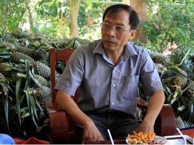 Việt kiều về quê đầu tư 200 tỷ đồng, mở lối ra cho trái cây