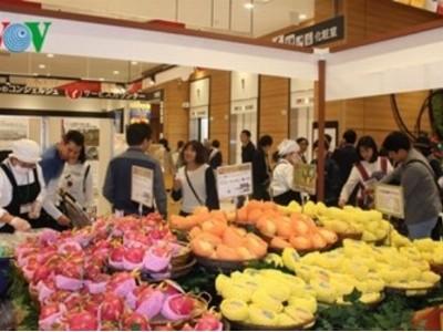 Xoài Cát Chu Việt Nam chính thức vào thị trường Nhật Bản