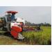 Philippines gia hạn nhập khẩu gạo Việt: Mừng nhiều, lo cũng... không ít