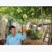 Trái chanh dây ngọt và niềm hy vọng của nông dân Nguyễn Hữu Công