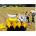 Nông dân bán ruộng lúa non để tránh hạn, mặn kỷ lục