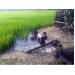 Nước mặn xâm nhập sông Ba Lai làm gần 700 ha lúa mất trắng