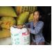 Liên kết sản xuất lúa giống hàng xóa ở Duy Xuyên nông dân điêu đứng