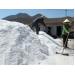 Khánh Hòa tồn đọng 40.000 tấn muối do giá muối giảm mạnh