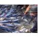 Nghịch lý xuất khẩu cá tra