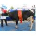 Hội thi - triển lãm bò sữa TP.HCM