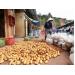 Khoai tây Trung Quốc lại được vào chợ Đà Lạt