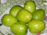 ky-thuat-trong-va-cham-soc-cay-tao